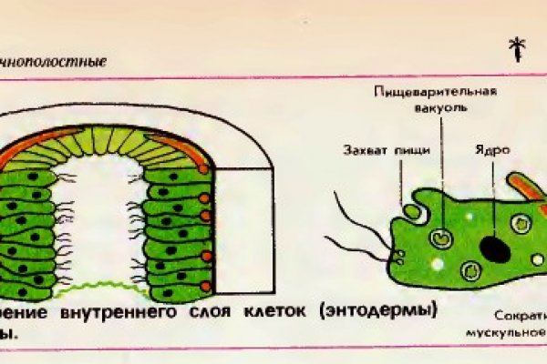 Кракена точка нет